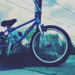 Meet your Posher, Jake